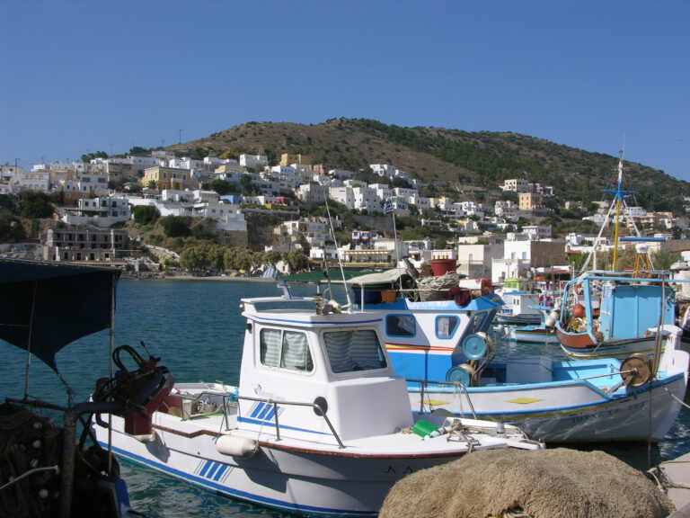 DSCN4442